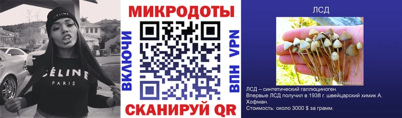 Галлюциногенные грибы Magic Shrooms  Разумное 