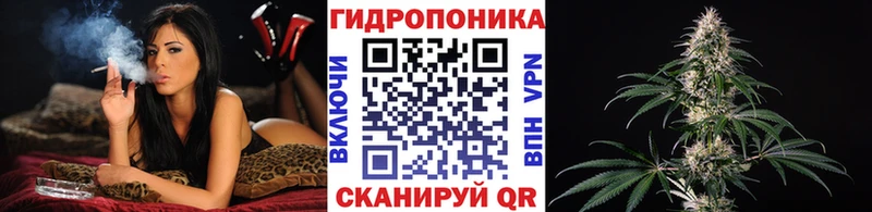 Бошки Шишки VHQ  Разумное 